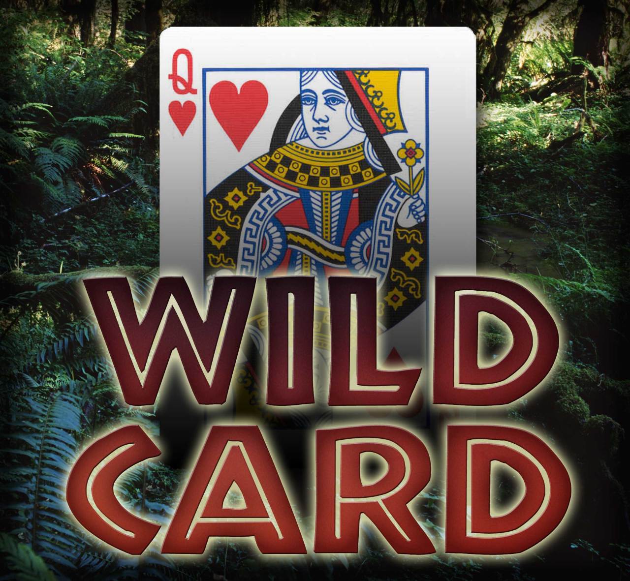 wild-card-sokaksihirbazi